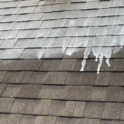 Roof Soft Washing